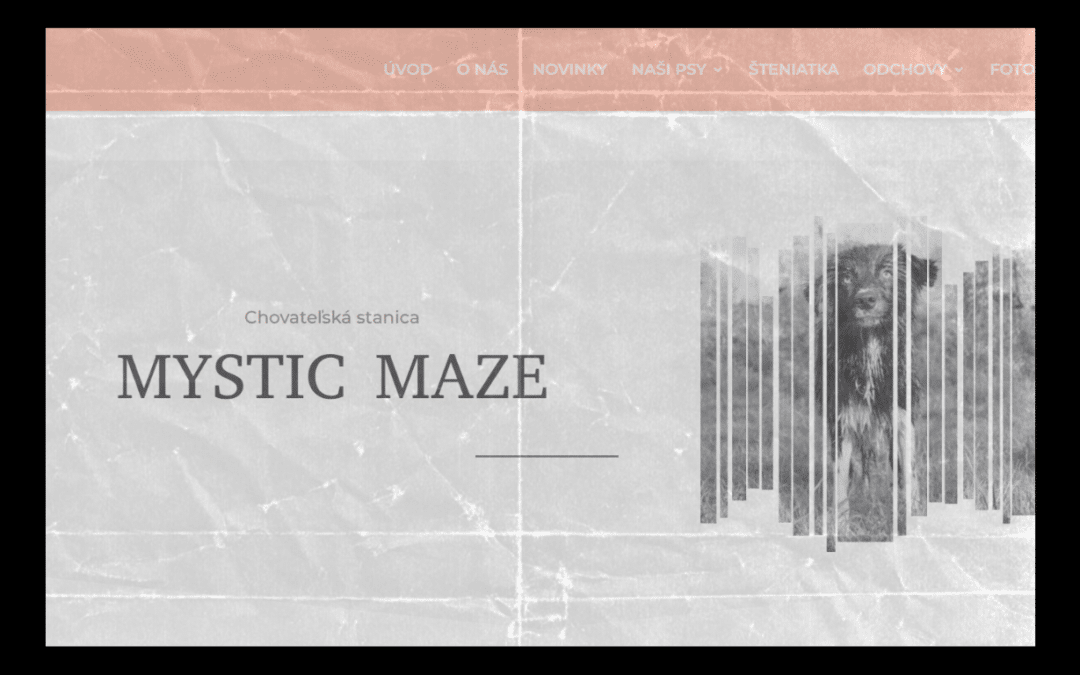 Nové webové stránky CHS Mystic Maze sú online!