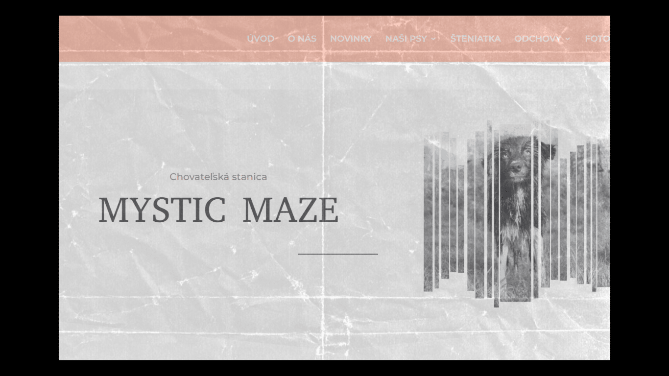 Nové webové stránky CHS Mystic Maze sú online!