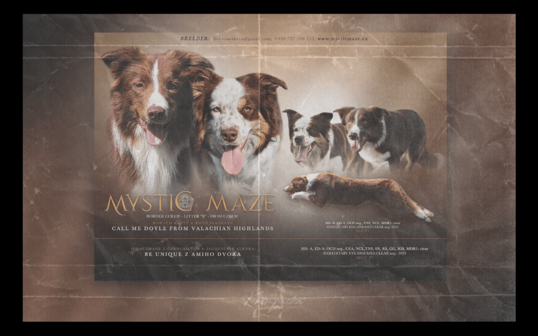 Mystic Maze Vrh B – leták